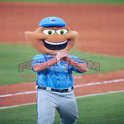 Tampa Yankees Charlotte Stone Crabs | Four Seam Images